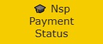Nsp Payment Status Logo